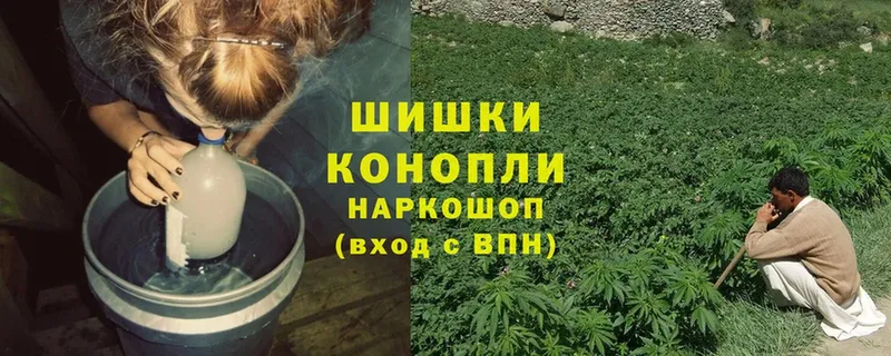 Бошки марихуана Amnesia  кракен зеркало  Поворино 